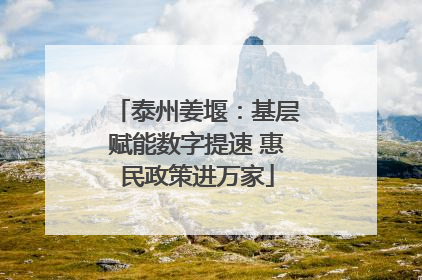 泰州姜堰：基层赋能数字提速 惠民政策进万家