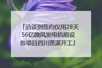 洽谈到签约仅用28天 56亿微风发电机组设备项目四川蓬溪开工