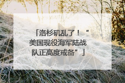 洛杉矶乱了！“美国现役海军陆战队正高度戒备”