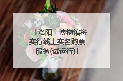 洛阳一博物馆将实行线上实名购票服务(试运行)