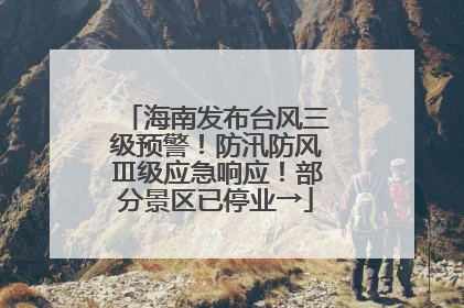 海南发布台风三级预警！防汛防风Ⅲ级应急响应！部分景区已停业→