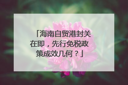 海南自贸港封关在即，先行免税政策成效几何？