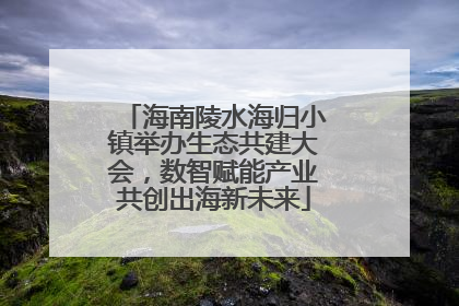 海南陵水海归小镇举办生态共建大会，数智赋能产业共创出海新未来