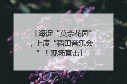 海淀“莫奈花园”，上演“稻田音乐会”！现场直击