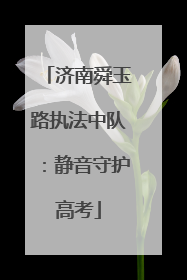 济南舜玉路执法中队：静音守护高考