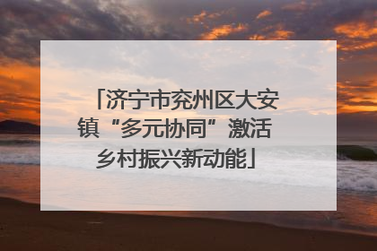济宁市兖州区大安镇“多元协同”激活乡村振兴新动能