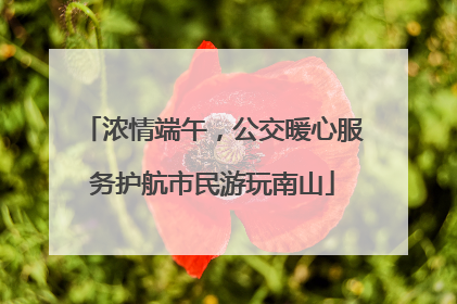 浓情端午，公交暖心服务护航市民游玩南山