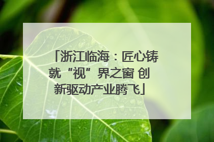 浙江临海：匠心铸就“视”界之窗 创新驱动产业腾飞