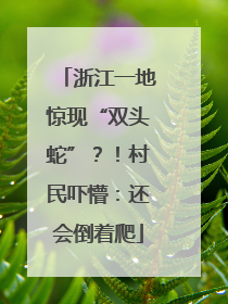 浙江一地惊现“双头蛇”？！村民吓懵：还会倒着爬