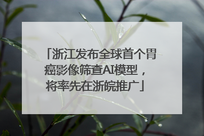 浙江发布全球首个胃癌影像筛查AI模型，将率先在浙皖推广