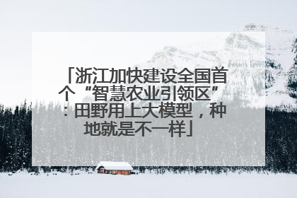 浙江加快建设全国首个“智慧农业引领区”：田野用上大模型，种地就是不一样