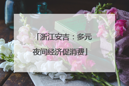 浙江安吉：多元夜间经济促消费