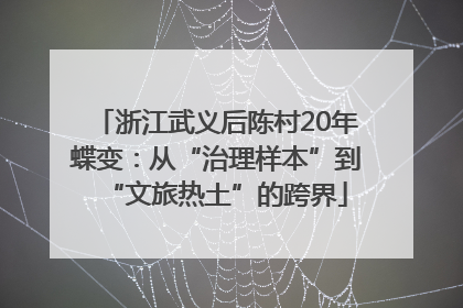 浙江武义后陈村20年蝶变：从“治理样本”到“文旅热土”的跨界