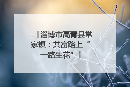 淄博市高青县常家镇：共富路上“一路生花”