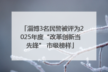 淄博3名民警被评为2025年度“改革创新当先锋” 市级榜样