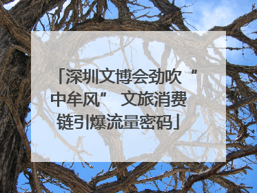 深圳文博会劲吹“中牟风” 文旅消费链引爆流量密码