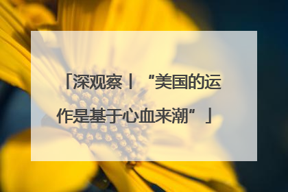 深观察丨“美国的运作是基于心血来潮”