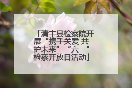 清丰县检察院开展“携手关爱 共护未来”“六一”检察开放日活动