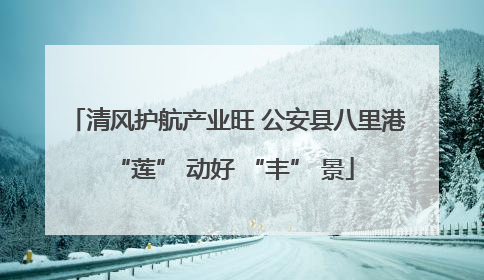 清风护航产业旺 公安县八里港 “莲” 动好 “丰” 景