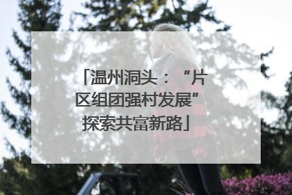 温州洞头：“片区组团强村发展”探索共富新路