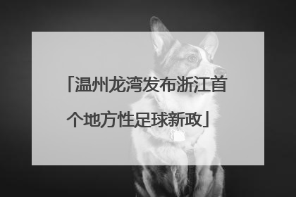 温州龙湾发布浙江首个地方性足球新政