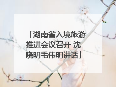 湖南省入境旅游推进会议召开 沈晓明毛伟明讲话