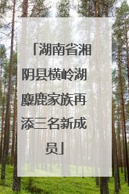 湖南省湘阴县横岭湖麋鹿家族再添三名新成员