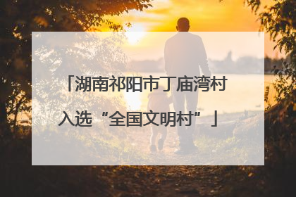 湖南祁阳市丁庙湾村入选“全国文明村”
