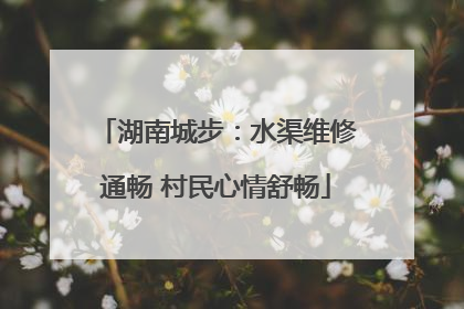 湖南城步：水渠维修通畅 村民心情舒畅