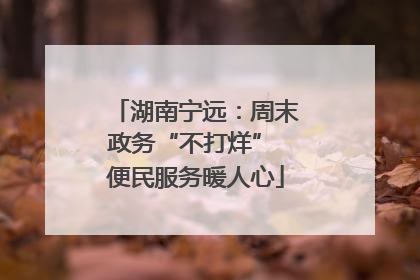 湖南宁远：周末政务“不打烊” 便民服务暖人心