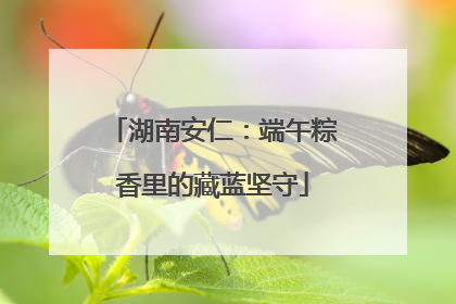 湖南安仁：端午粽香里的藏蓝坚守