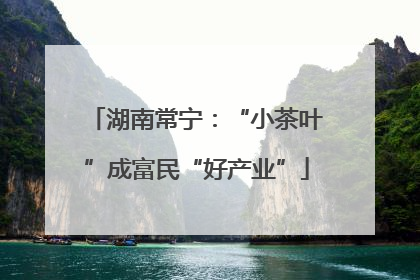 湖南常宁：“小茶叶”成富民“好产业”