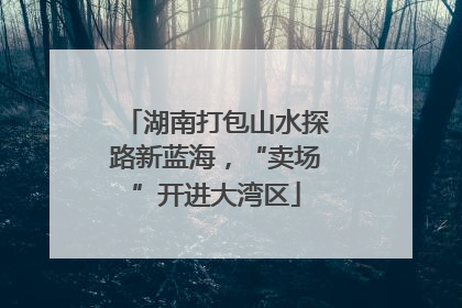 湖南打包山水探路新蓝海，“卖场”开进大湾区