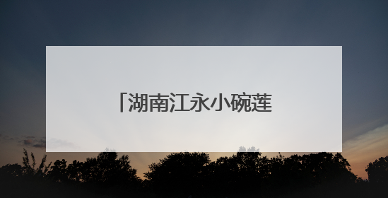 湖南江永小碗莲绽放致富新活力