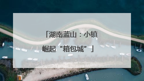 湖南蓝山：小镇崛起“箱包城”