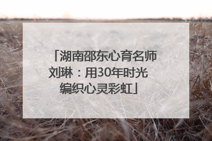 湖南邵东心育名师刘琳：用30年时光编织心灵彩虹
