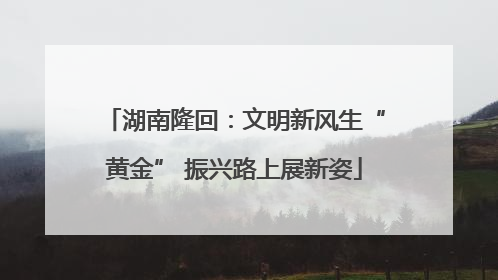 湖南隆回：文明新风生“黄金” 振兴路上展新姿