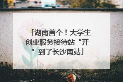 湖南首个！大学生创业服务接待站“开”到了长沙南站