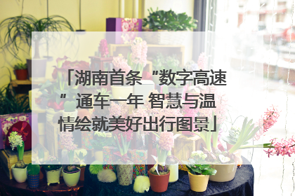 湖南首条“数字高速”通车一年 智慧与温情绘就美好出行图景