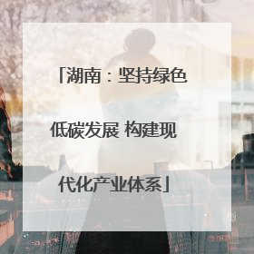 湖南：坚持绿色低碳发展 构建现代化产业体系