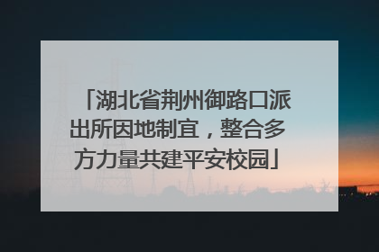 湖北省荆州御路口派出所因地制宜，整合多方力量共建平安校园