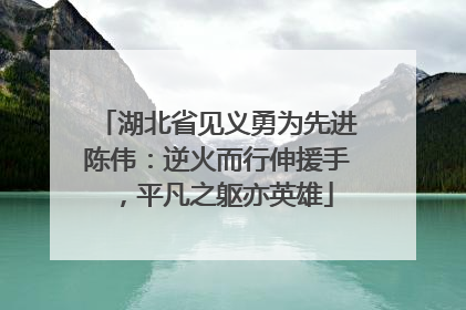 湖北省见义勇为先进陈伟：逆火而行伸援手，平凡之躯亦英雄