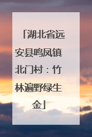湖北省远安县鸣凤镇北门村：竹林遍野绿生金