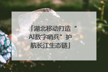 湖北移动打造“AI数字哨兵”护航长江生态链
