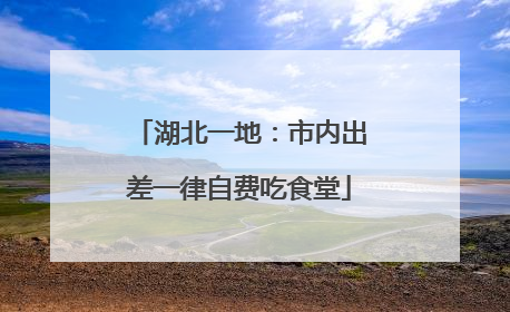 湖北一地：市内出差一律自费吃食堂