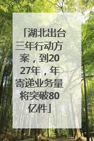 湖北出台三年行动方案，到2027年，年寄递业务量将突破80亿件