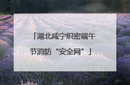 湖北咸宁织密端午节消防“安全网”
