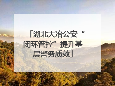 湖北大冶公安“闭环管控”提升基层警务质效