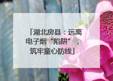 湖北房县：远离电子烟“陷阱”，筑牢童心防线