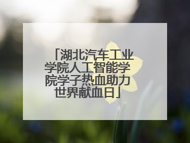 湖北汽车工业学院人工智能学院学子热血助力世界献血日